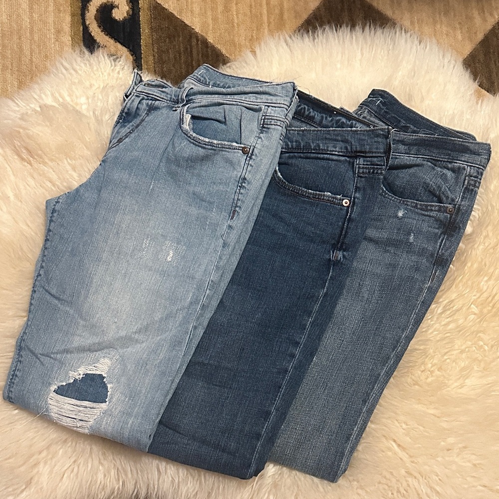 Bundle of LOFT Women's Jeans in size 0/25